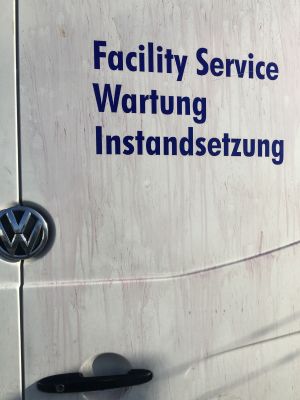 Flugrostentfernung am Fahrzeug – King Detailing Neumünster