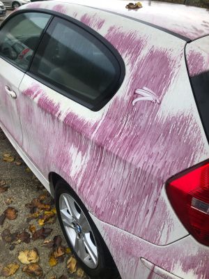 Flugrostentfernung am Fahrzeug – King Detailing Neumünster